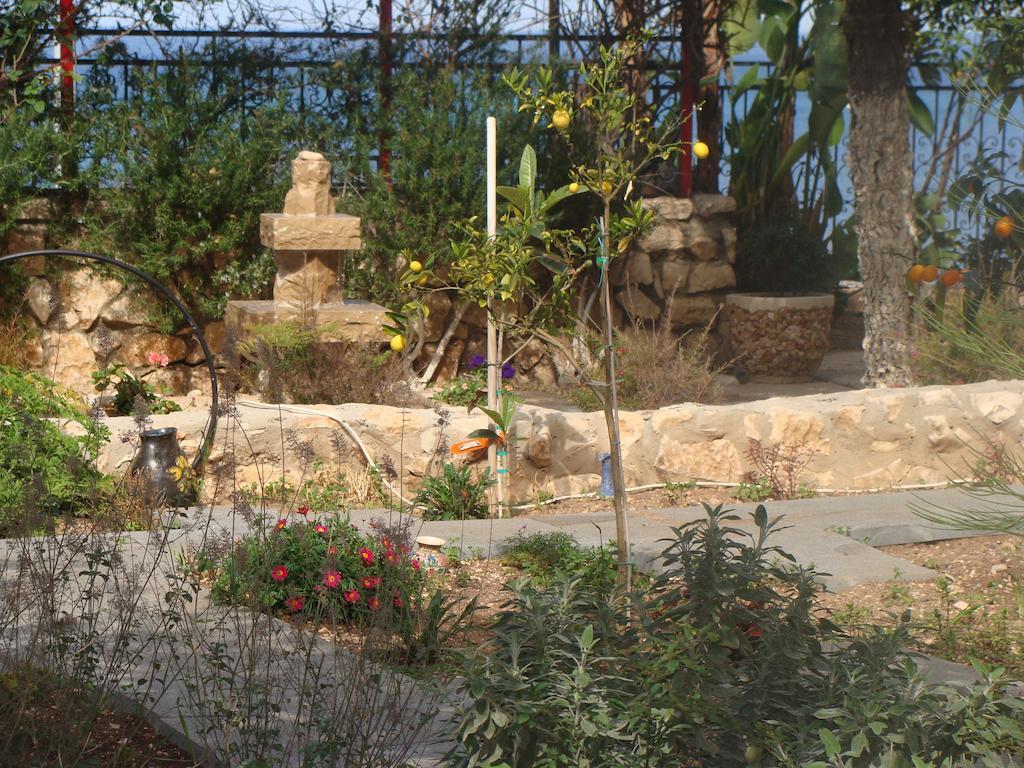 Tamer Guest House حيفا المظهر الخارجي الصورة