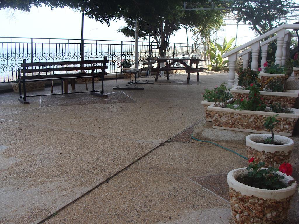 Tamer Guest House حيفا المظهر الخارجي الصورة