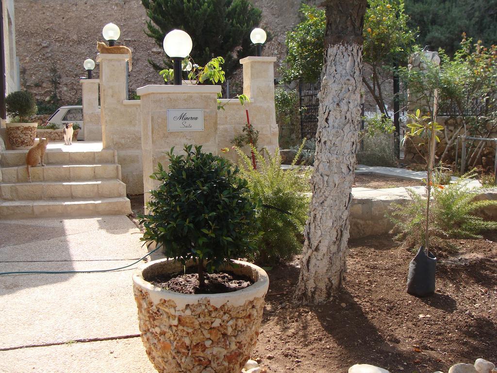 Tamer Guest House حيفا المظهر الخارجي الصورة