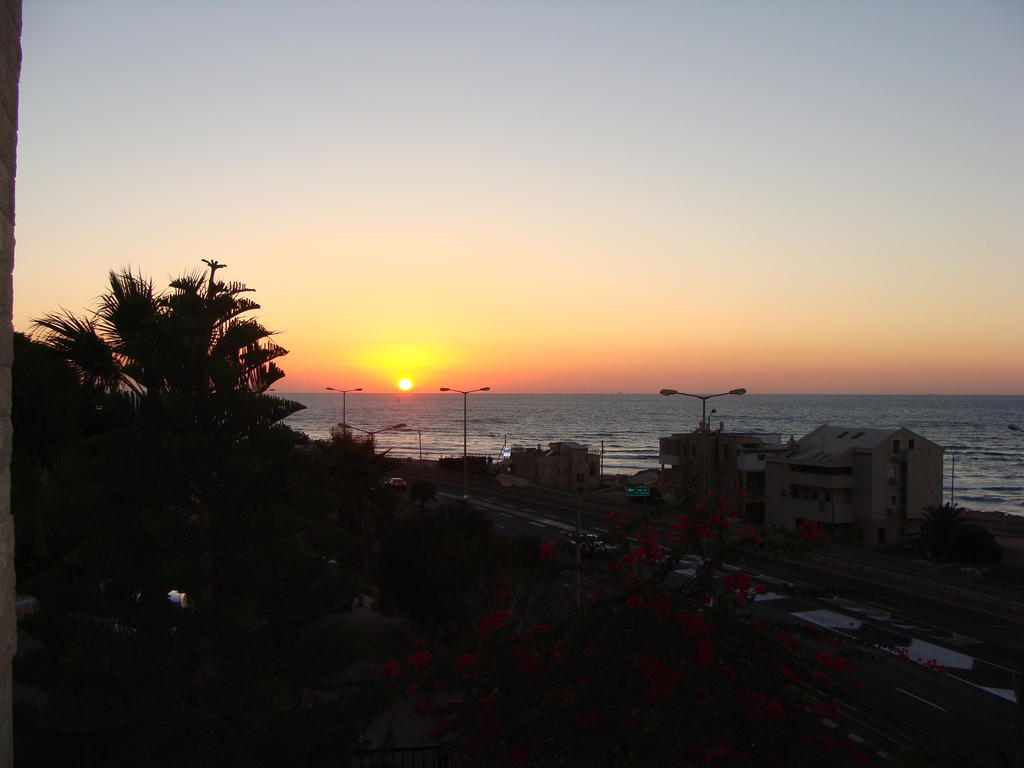 Tamer Guest House حيفا المظهر الخارجي الصورة