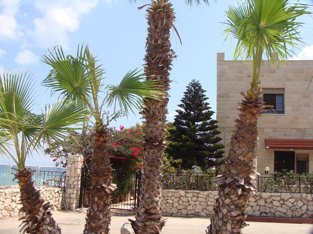 Tamer Guest House حيفا المظهر الخارجي الصورة