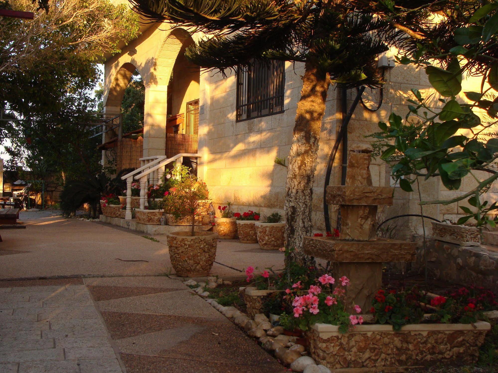 Tamer Guest House حيفا المظهر الخارجي الصورة