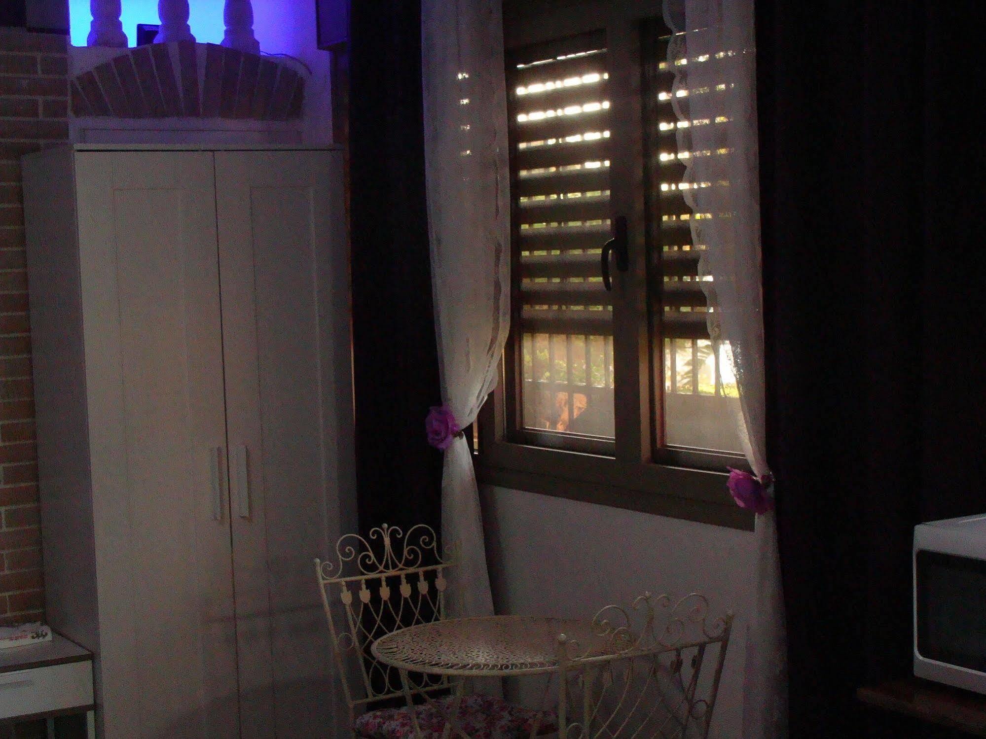 Tamer Guest House حيفا المظهر الخارجي الصورة
