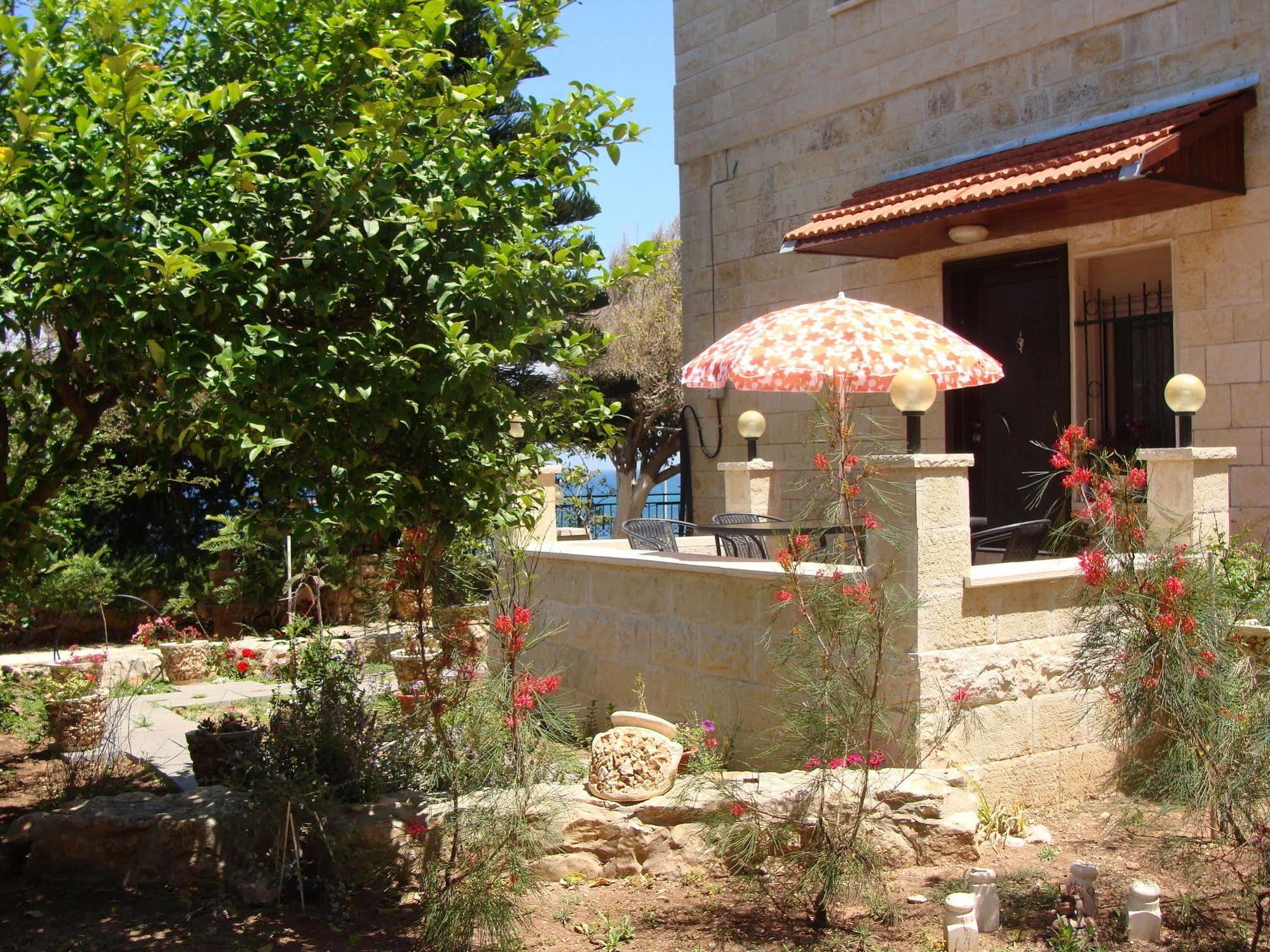 Tamer Guest House حيفا المظهر الخارجي الصورة