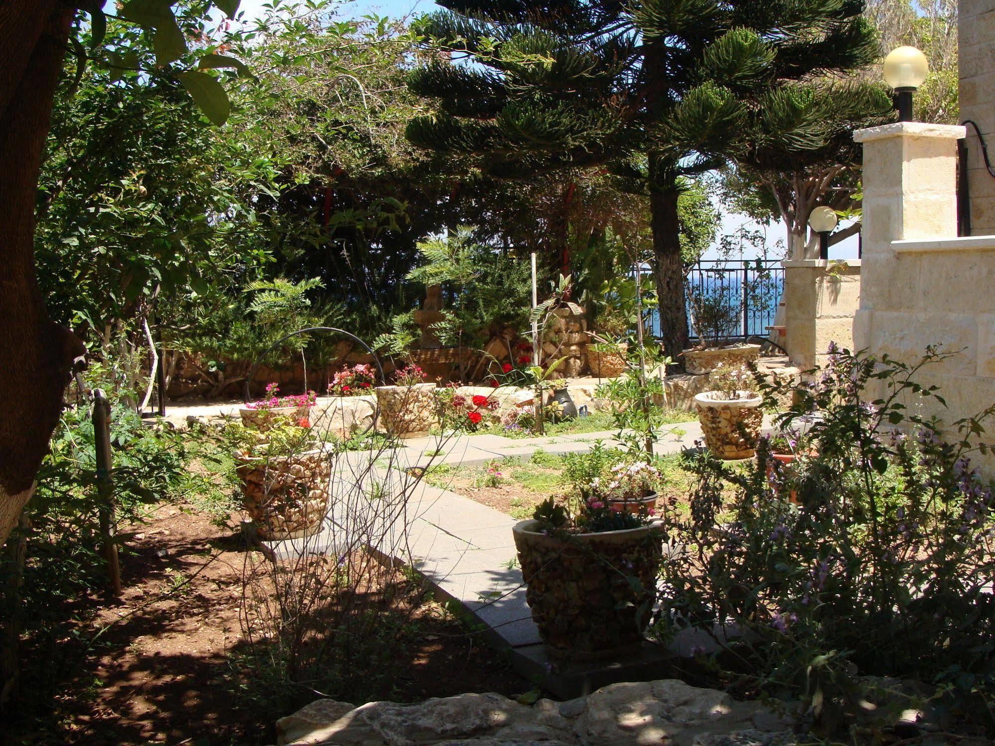 Tamer Guest House حيفا المظهر الخارجي الصورة