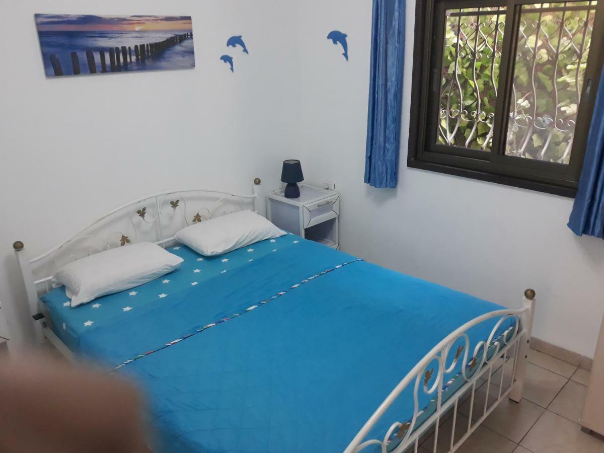 Tamer Guest House حيفا المظهر الخارجي الصورة
